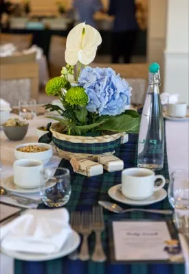 Stage lighting design