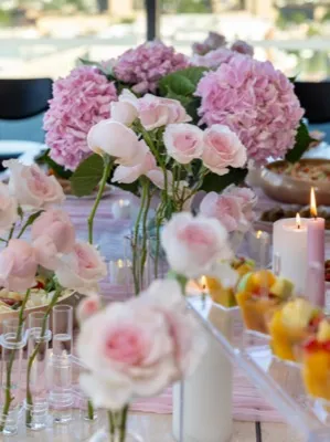 Product launch display